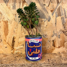 Load image into Gallery viewer, Canned Plant Hachichet Albi (حشيشة قلبي)