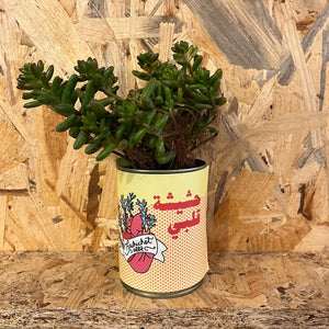 Canned Plant Hachichet Albi (حشيشة قلبي)